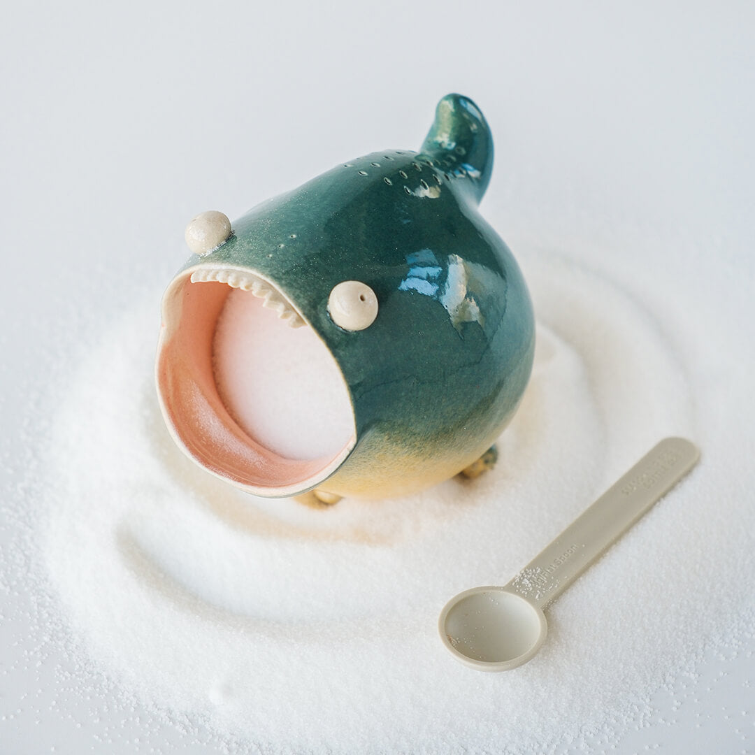 Cute ceramic salt container for kitchen use