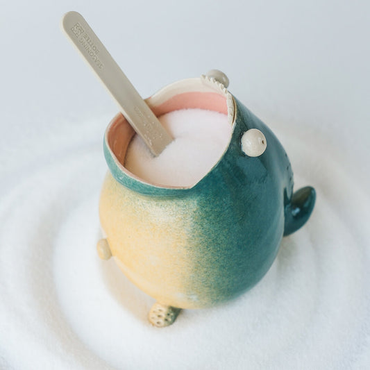 Ceramic salt cellar for kitchen counter storage